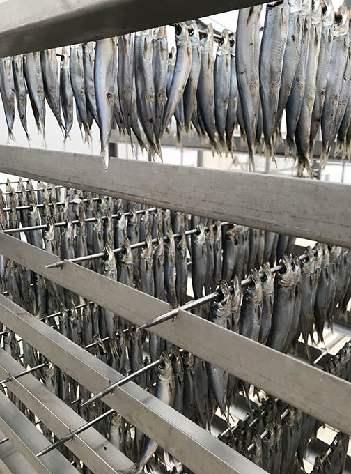 江の安産うるめいわし