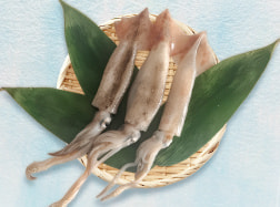 小田原産あじ