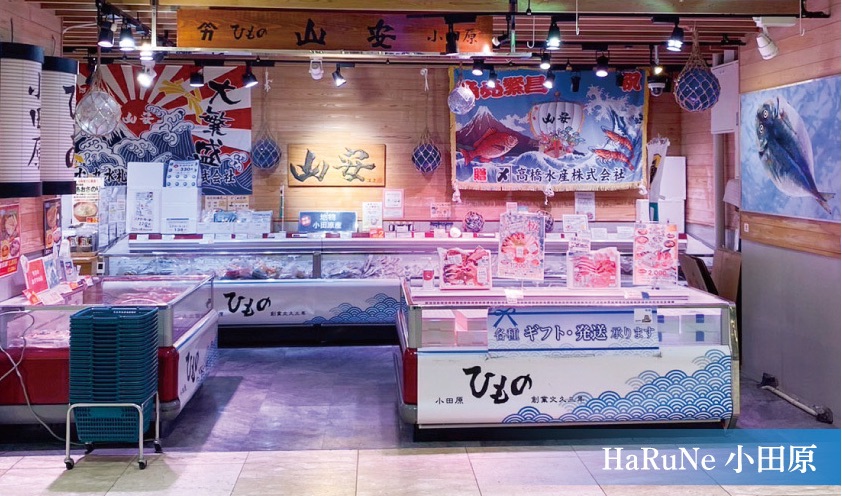 ハルネ小田原