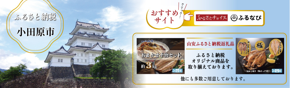 小田原市ふるさと納税 ふるなび 山安干物ふるさと納税返礼品
