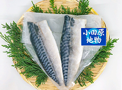 小田原産さば